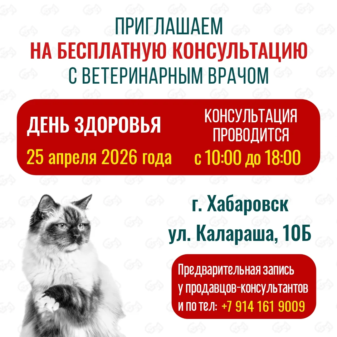Приглашаем на бесплатную консультацию с ветеринарным врачом