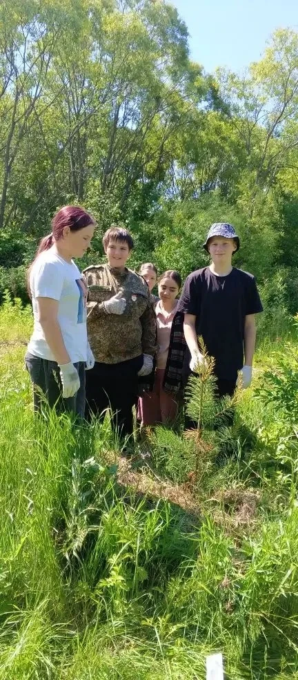Сегодня профильный отряд "" Юный эколог" проинспектировал и прополол свои посадки кедров в районе оз
