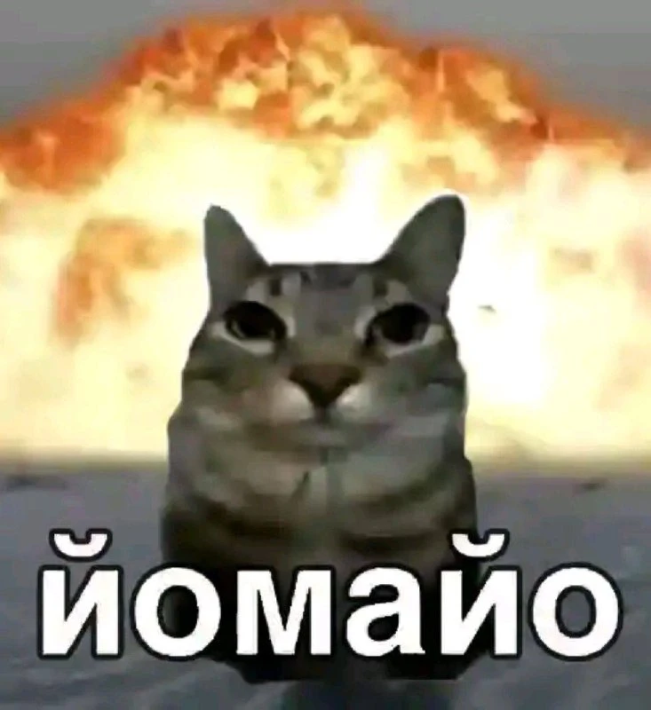 На самом деле на экзаменах случаются разные экстренные ситуации 😮