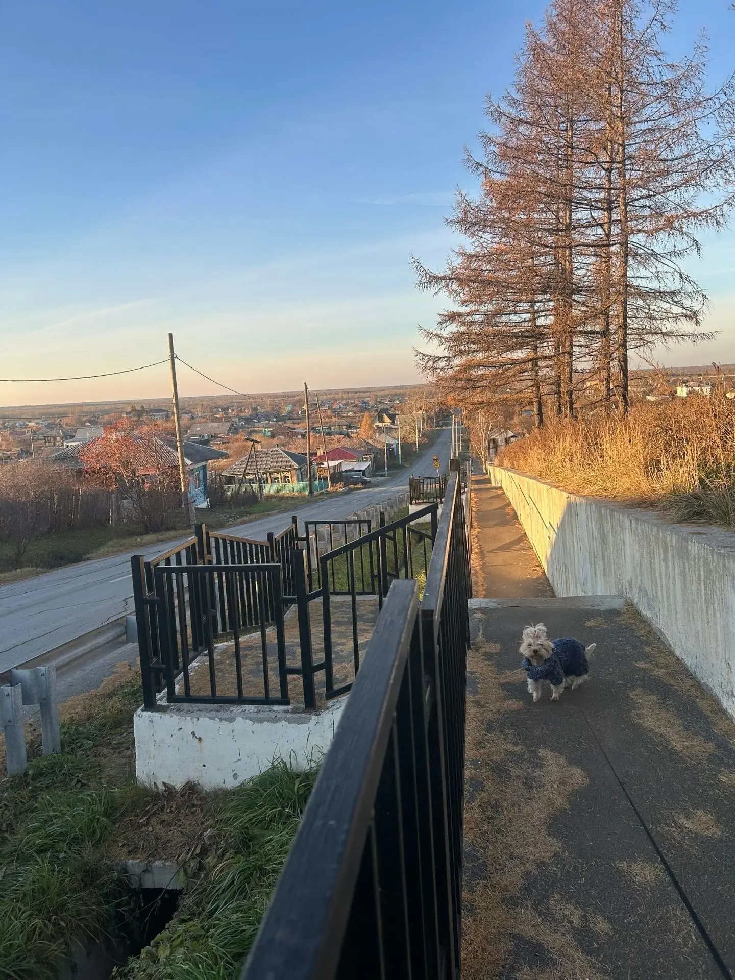 Доброе утро, Туринск ❤️
