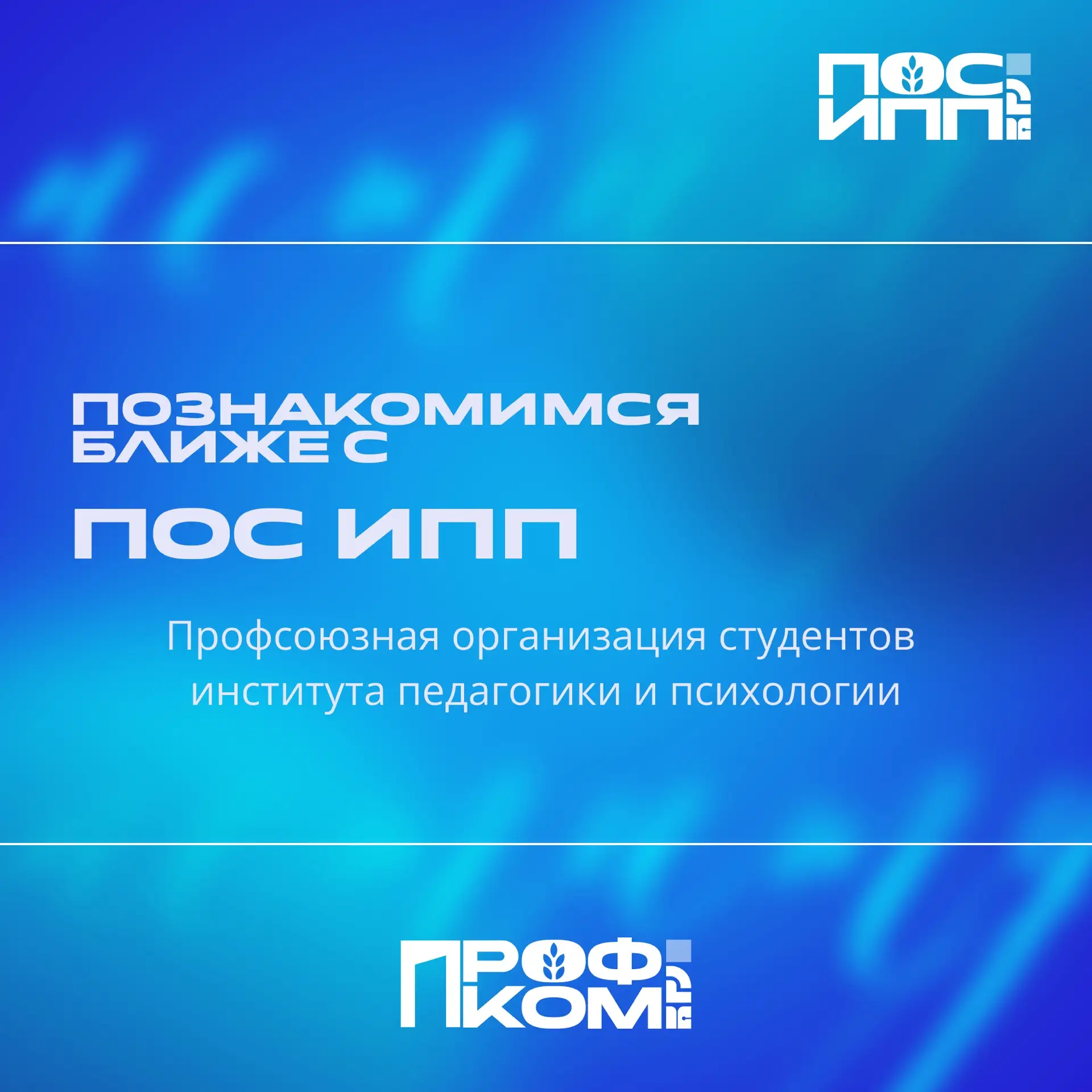 📢Поговорим о ПОС ИПП
