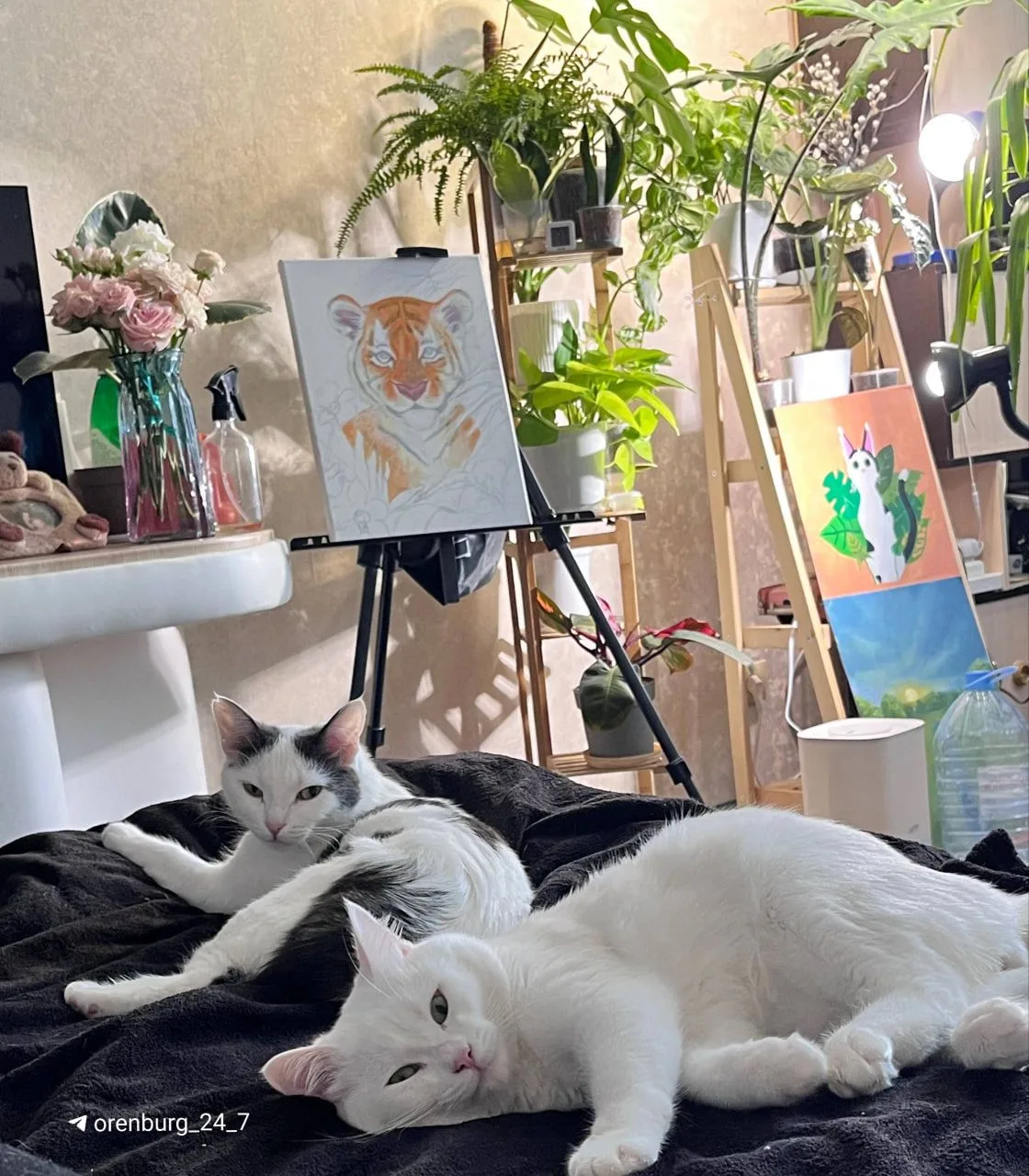У вас планы на длинные выходные, как у Фени и Феди, или удивите?

🥰 — Буду отдыхать
🗿 — Буду работ