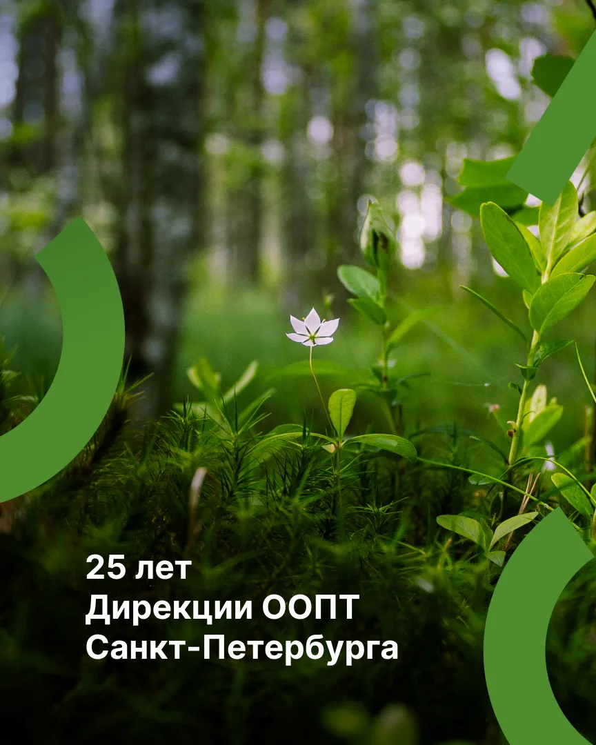 Поздравляю коллектив ГКУ «Дирекция ООПТ Санкт-Петербурга»