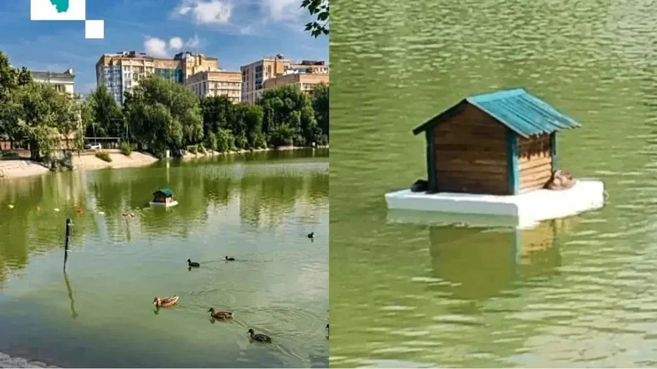🦆 В парке Якутова уткам вернули домик после жалобы уфимки.