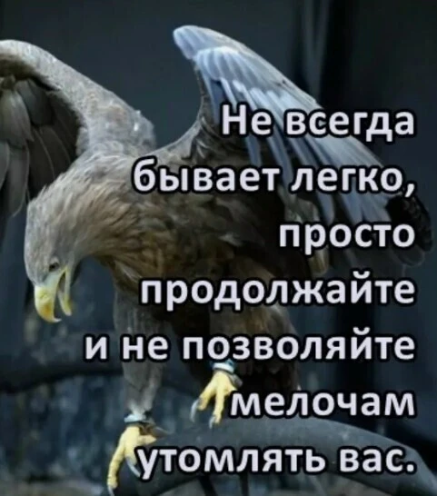 🦅 Мы часто ждём, что путь будет ровным. Но настоящий полёт всегда начинается с рывка и турбулентнос