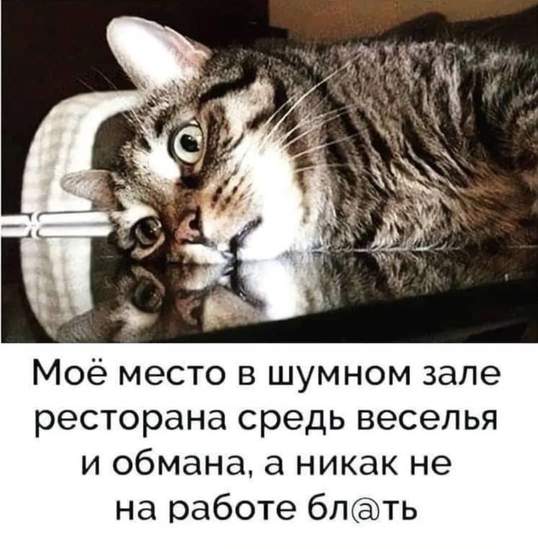 Доброе утро, друзья❤️