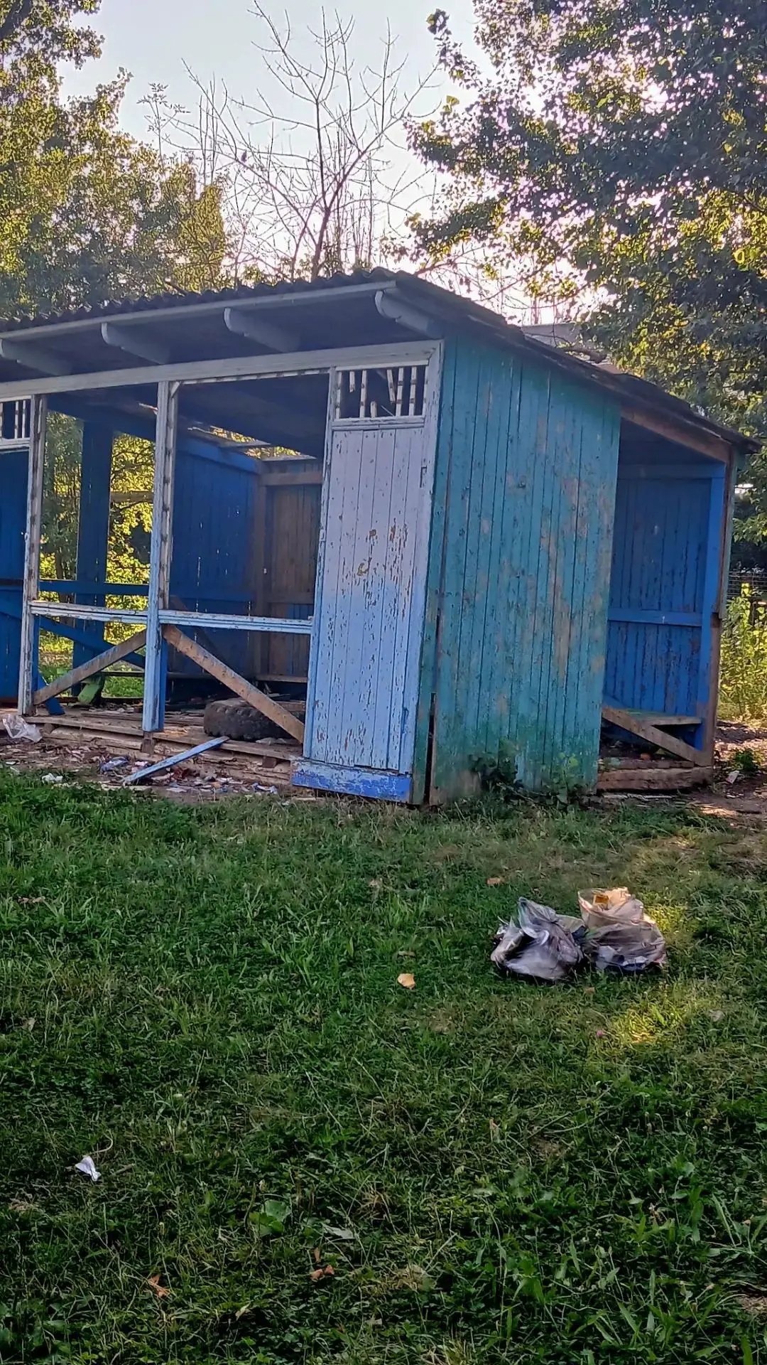 🌿 Школьники из поселка Рогачевский показали отличный пример заботы о малой родине!

В редакцию «Кал