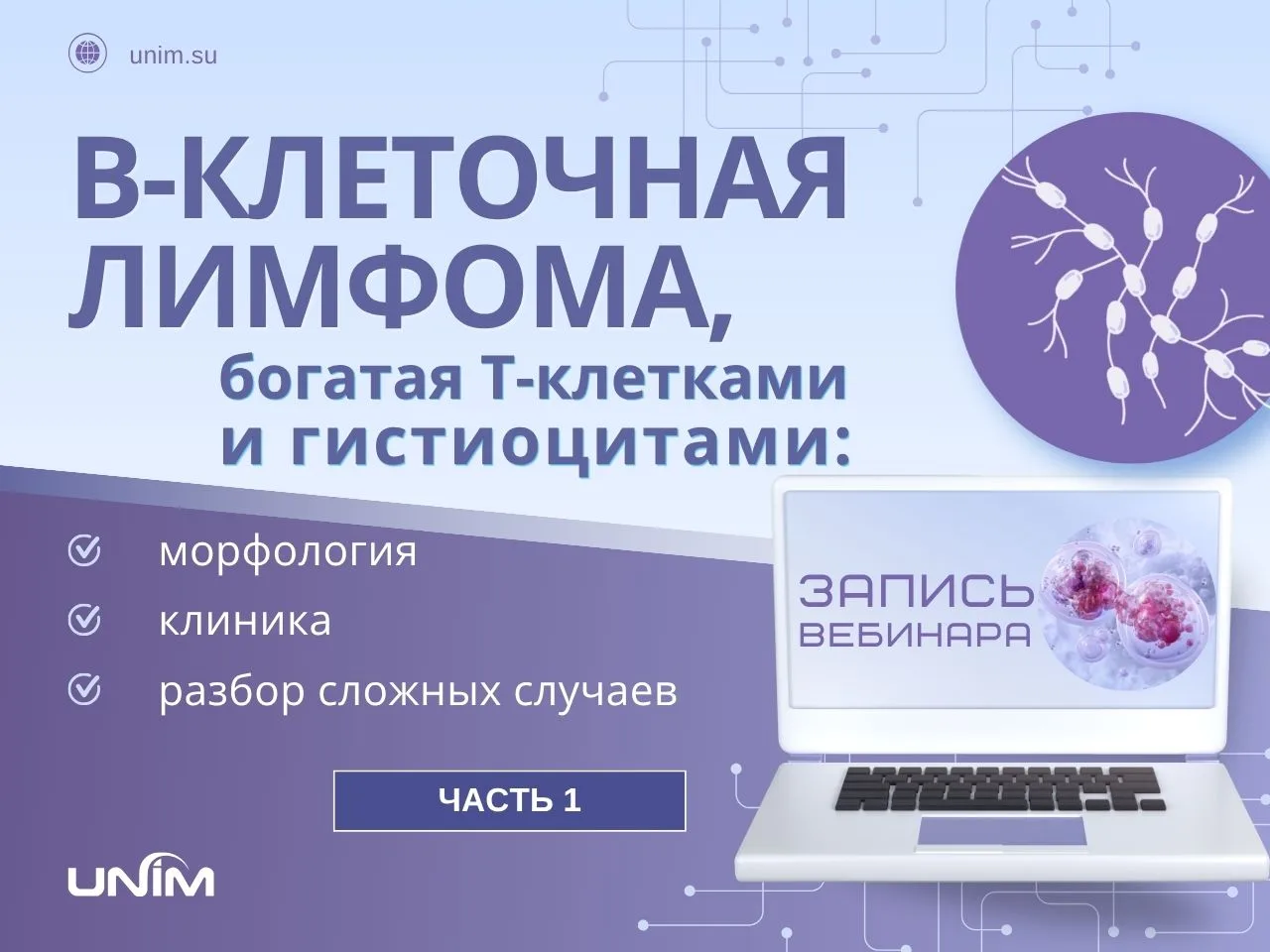 Запись первой части вебинара «B-клеточная лимфома, богатая T-клетками и гистиоцитами: м...