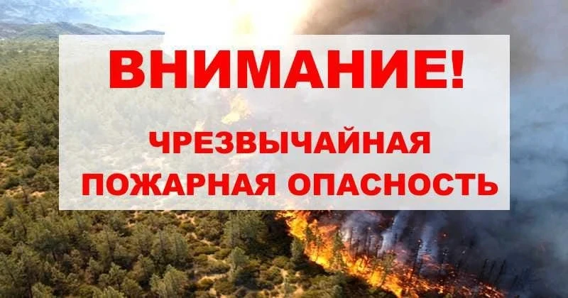 ☝В Ростовской области до 22 мая объявлена чрезвычайная пожароопасность!