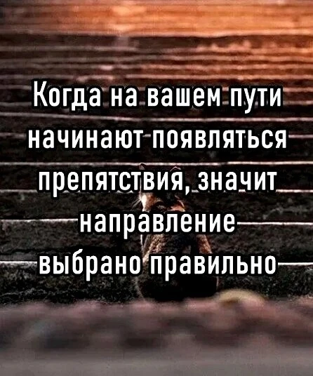 «Смотри на препятствия как на ступеньки к победе. Черпай в них вдохновение» (Энтони Дорр).