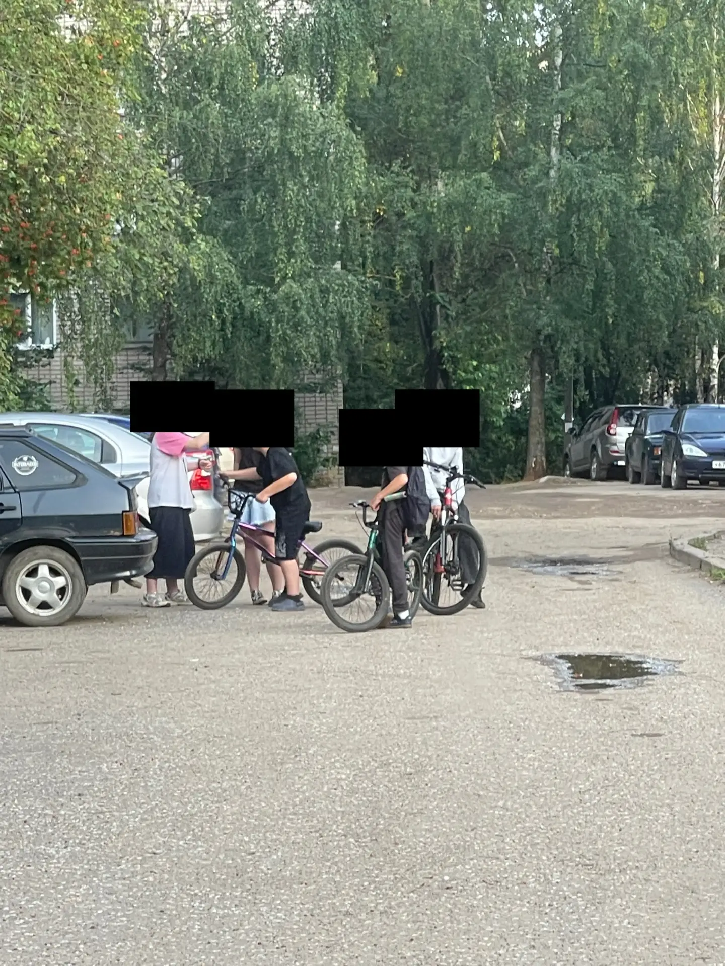 Чьи дети? Ходят с палкой за котятами, пытаются ударить. Говорят, что хотят покормить, н...