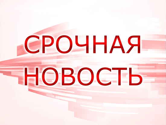 Есть угроза жизни: власти опровергли фейки об отсутствии электричества в СНТ «Ветеран» ...