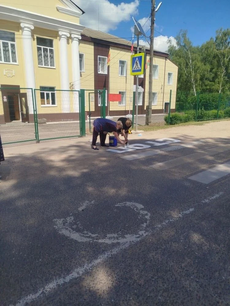 5 июня в МОУ"ТСОШ»прошла акция по нанесению информационных надписей рядом с пешеходным переходом у ш