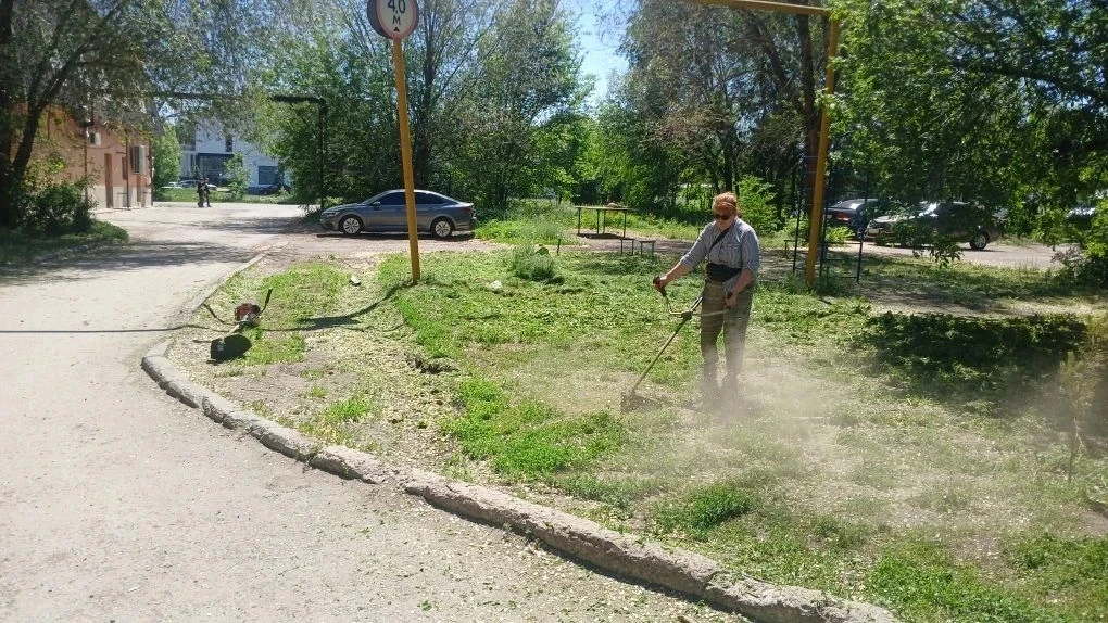 Покос придомовой территории по адресу: ул. Калининградская д. 3 🌞🐝🍀