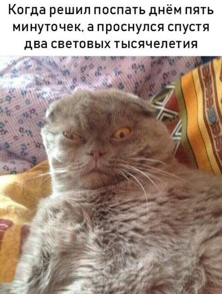 Три Подружки
