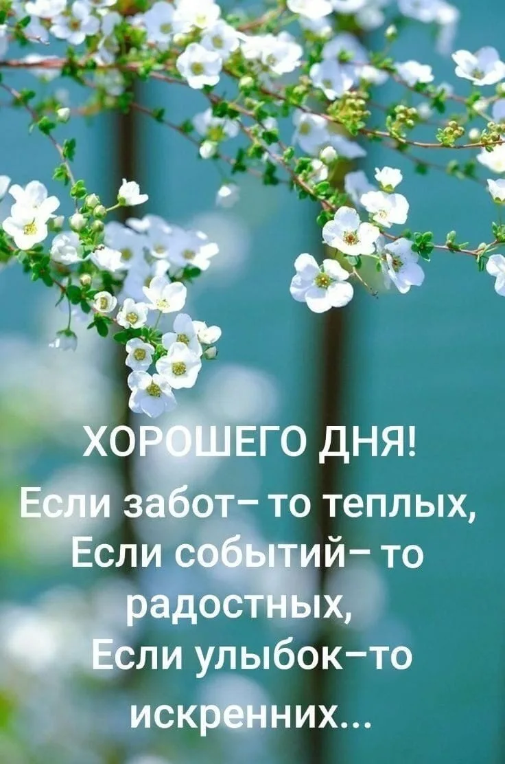 Доброго воскресного дня

❤️😍🔥👍 — ставьте реакции, пересылайте друзьям и близким 
                