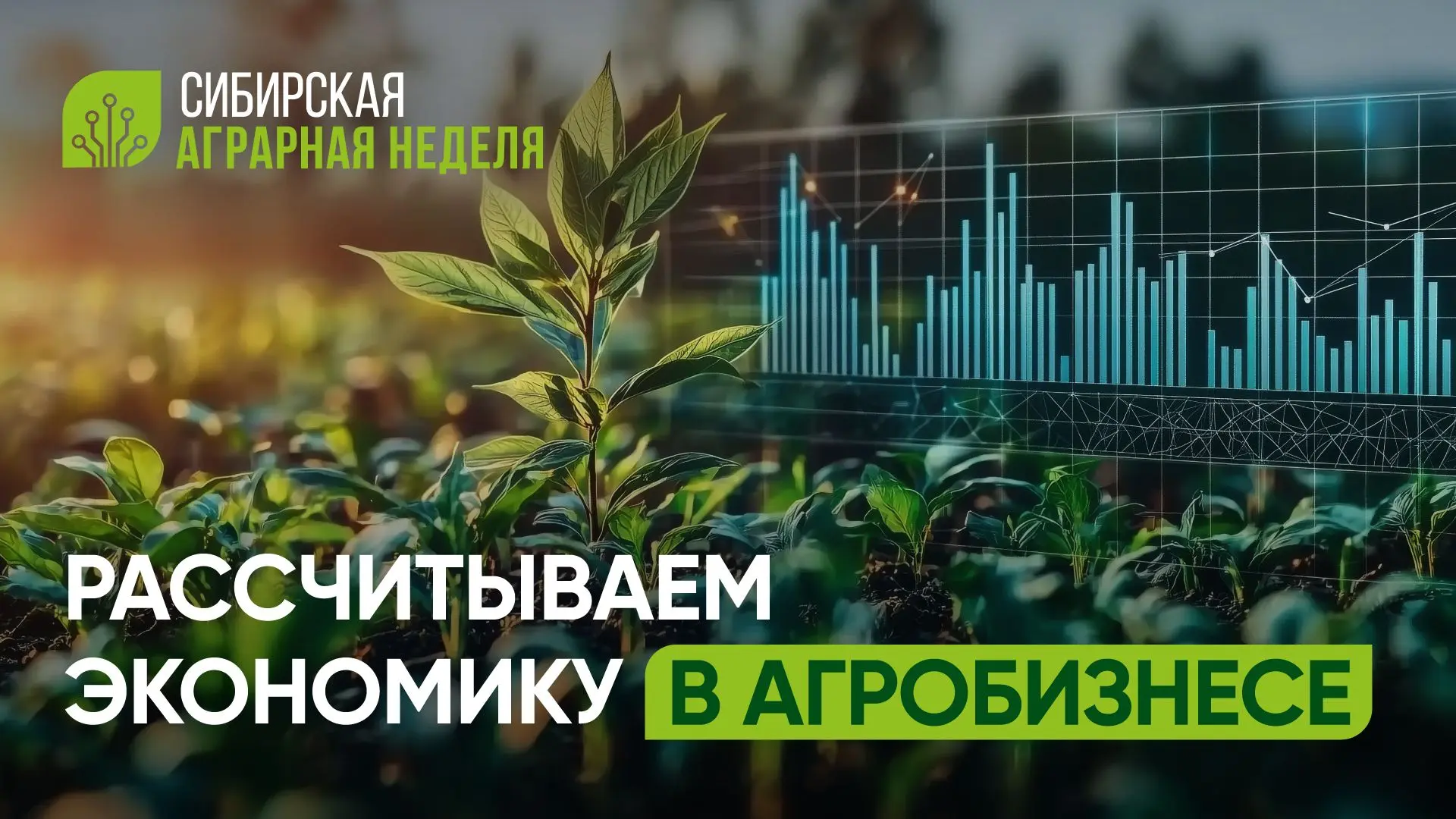 Вслепую больше не работаем: как узнать реальную маржу КФХ?