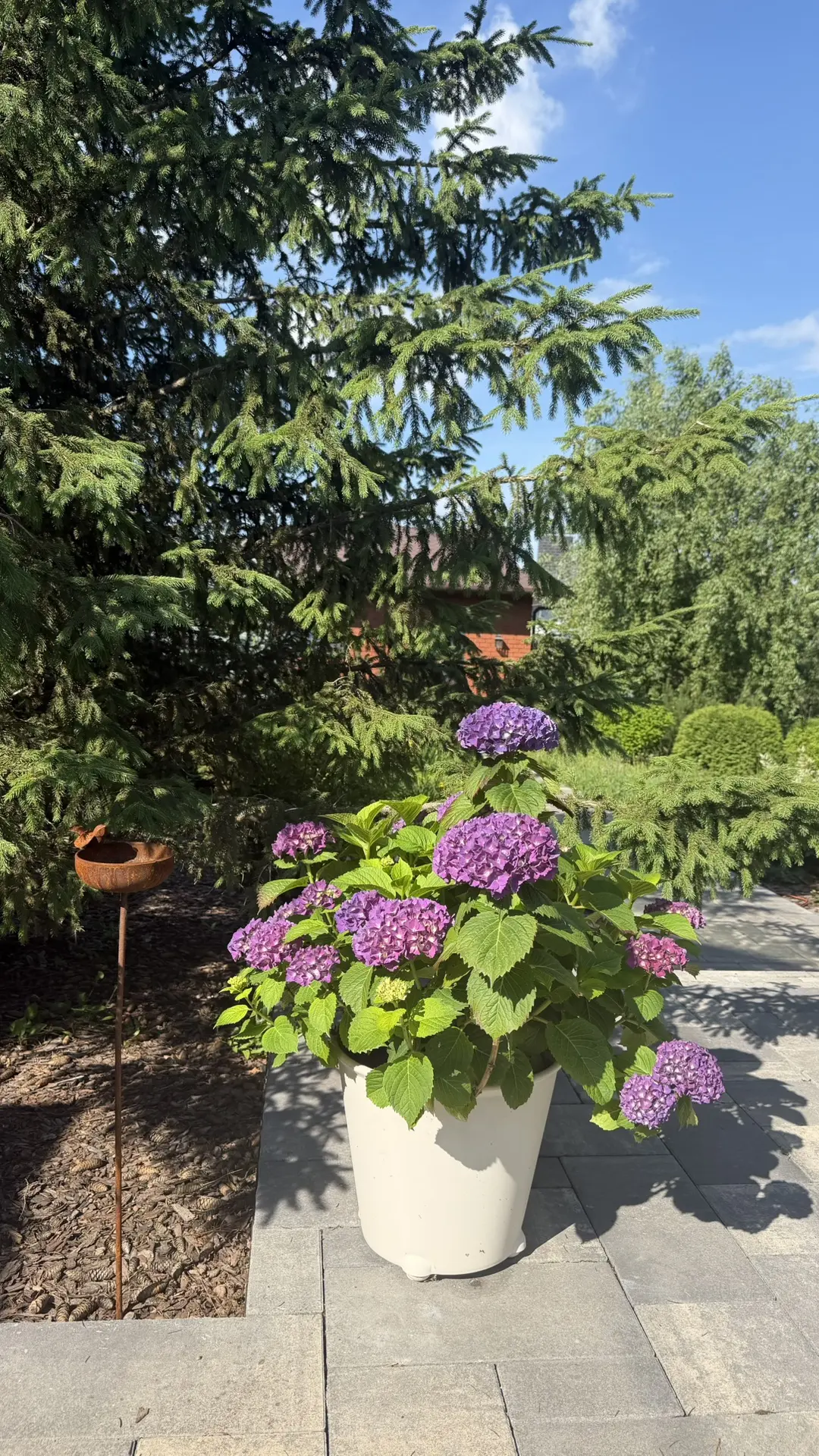Доброе утро ☀️🌿