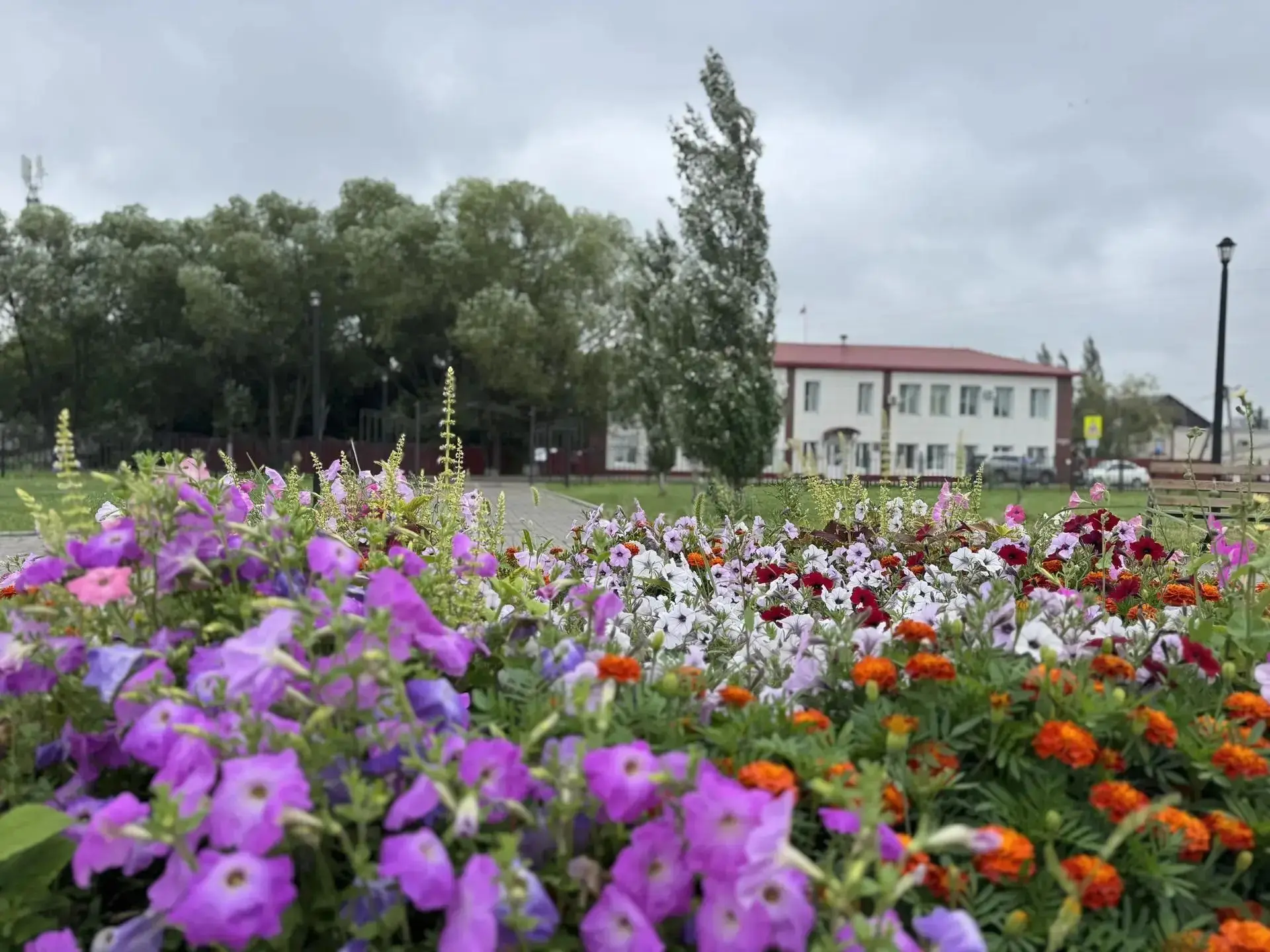 ☀️В Омскую область возвращается жаркая погода. Уже в воскресенье в регионе ожидается до...