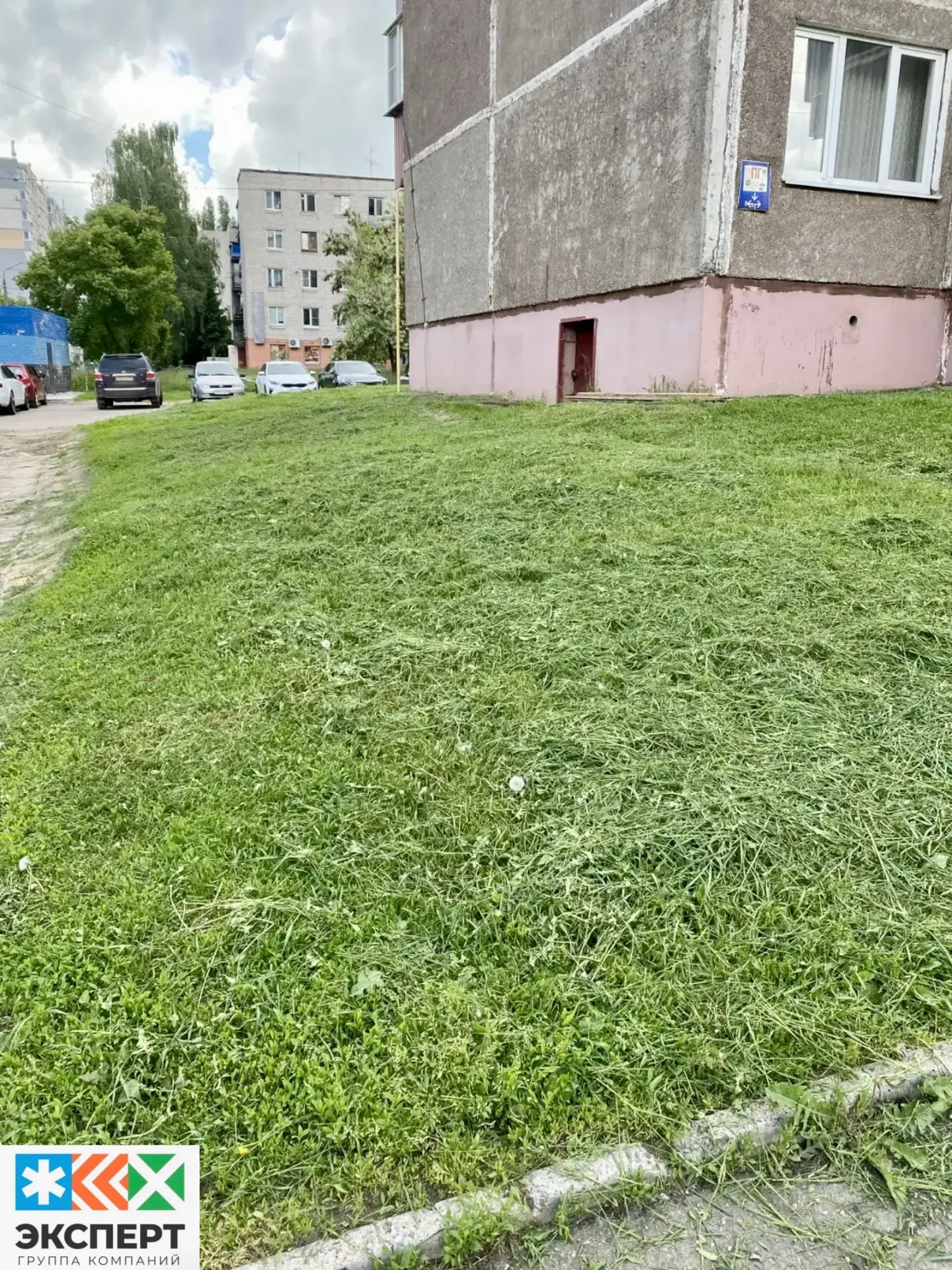 ООО УК «Развитие» произвела покос сорной растительности, по адресу: