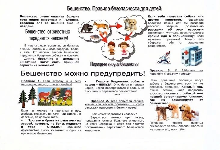 ️️️ВАЖНАЯ ИНФОРМАЦИЯ: ОСТОРОЖНО, БЕШЕНСТВО️️️