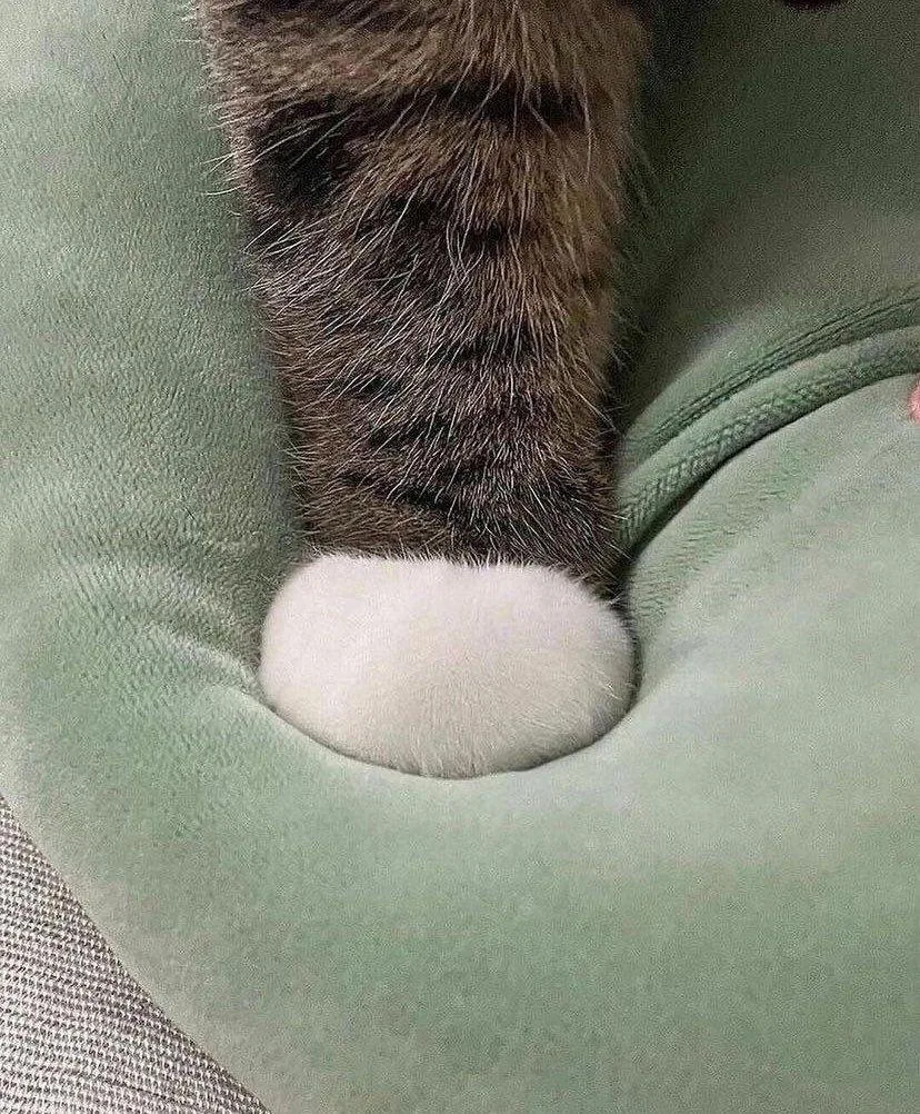Любимые ножки🥰