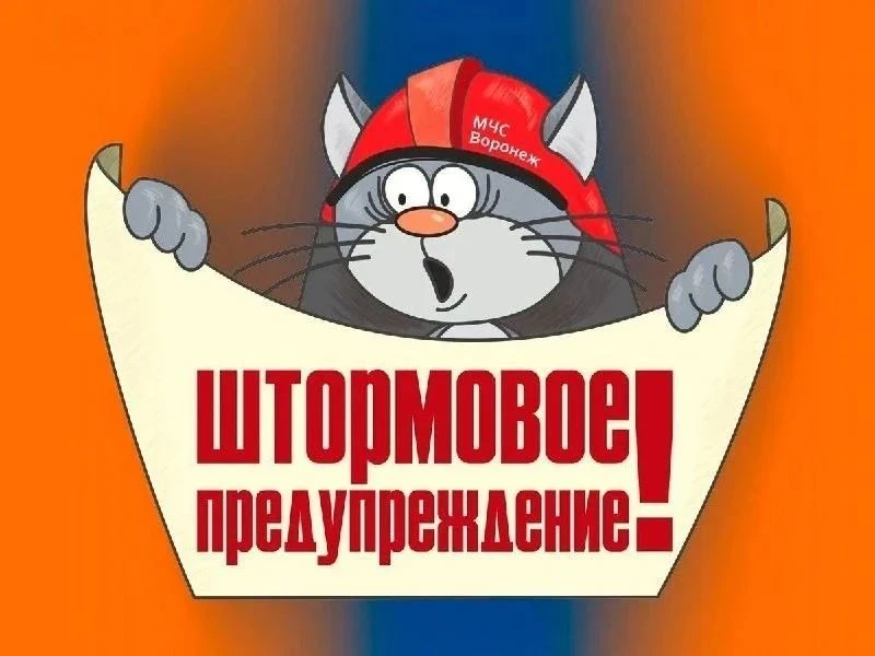 ‼От Воронежского центра по гидрометеорологии и мониторингу окружающей среды получено «Ш...