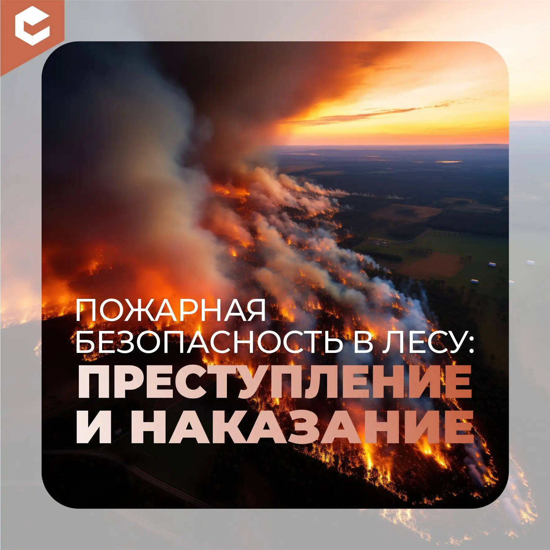 Особый противопожарный режим введён на всей территории Забайкальского края.