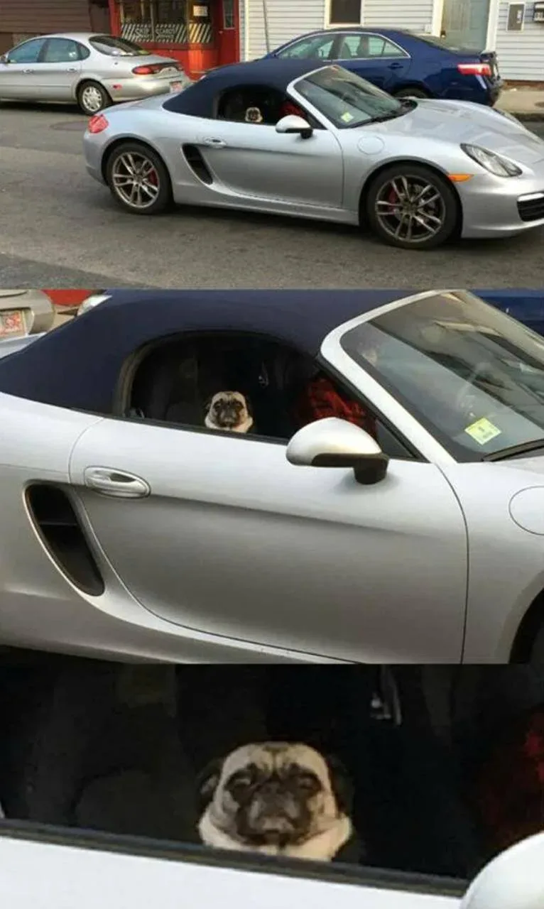 Девушка обнаружила, что её Porsche в розыске Интерпола