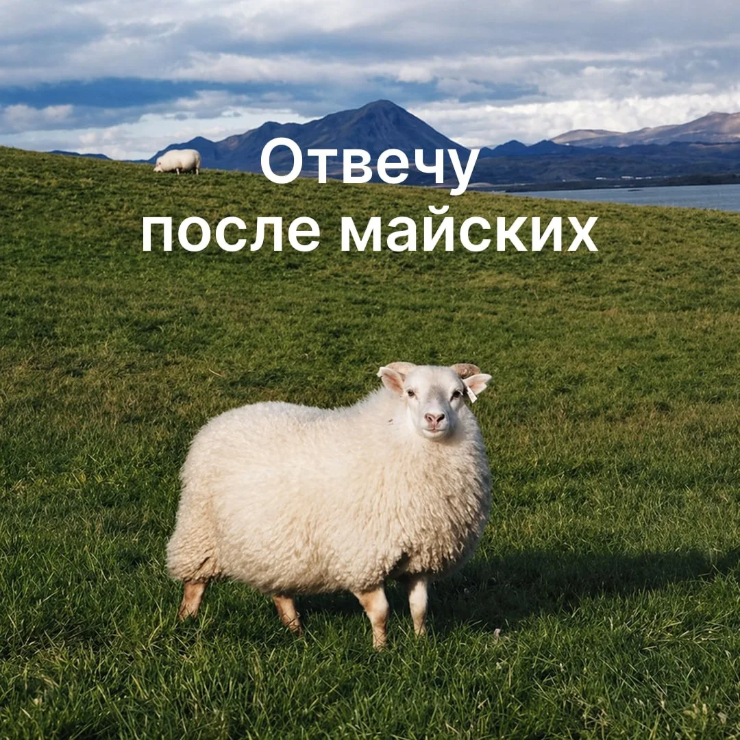 Как уйти на майские, не выключая телефон  ➡️Майские праздники — время, когда уведомления становятся 
