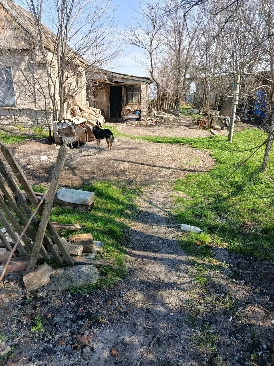 В Акимовке обнаружены мёртвыми мать и сын  Тела 63-летней женщины и её 40-летнего сына нашли в доме 