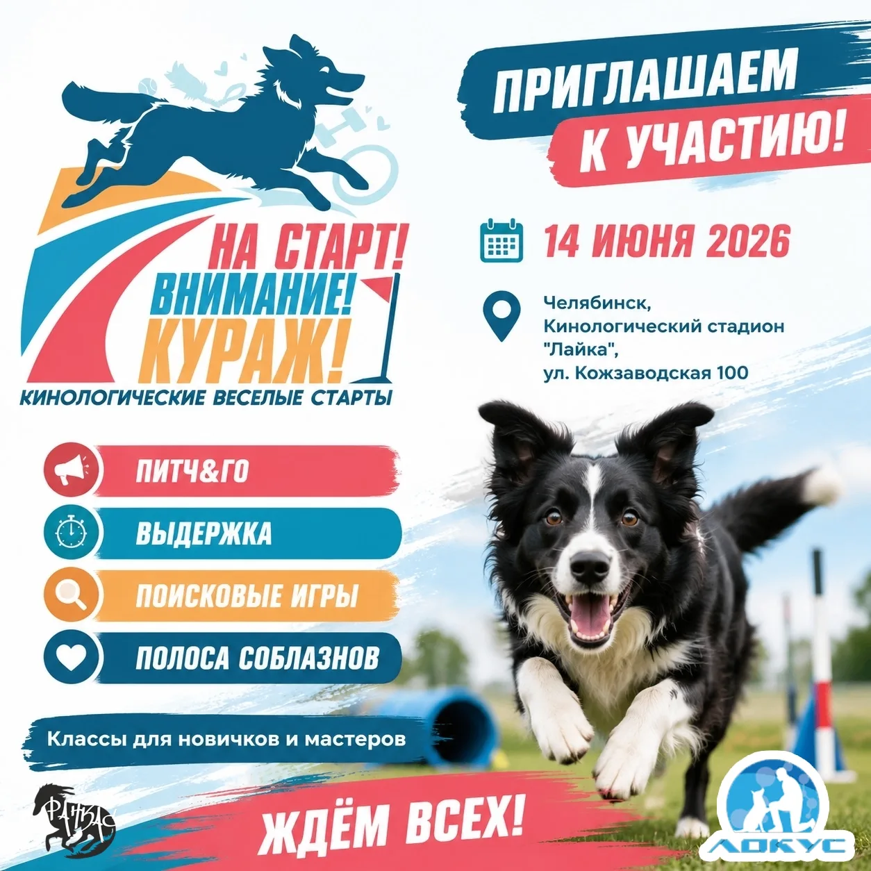 🐶 «Веселые старты» для собак пройдут в Челябинске

На кинологическом стадионе «Лайка» 14 июня ждут 