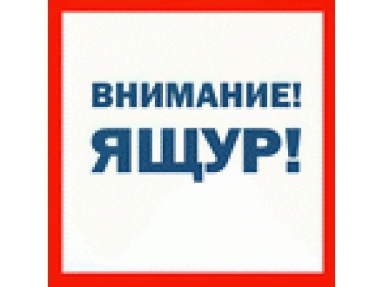 💢Ящур — острое вирусное заболевание парнокопытных животных (крупного рогатого скота, свиней, овец, 