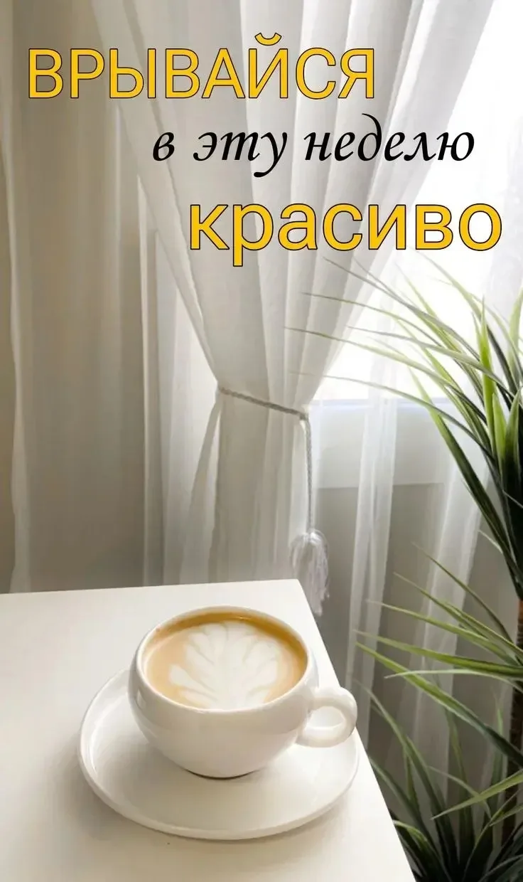 Привет, новая неделя! 👋

Мы готовы: зарядились энергией, настроились на позитив и составили список 