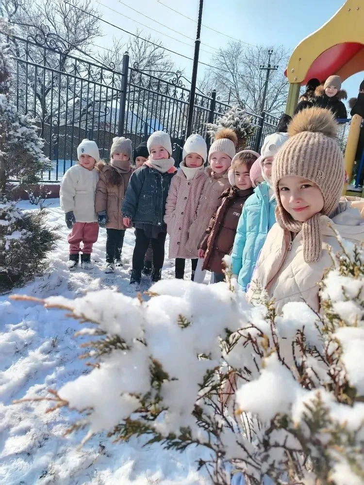 ❄️🌲