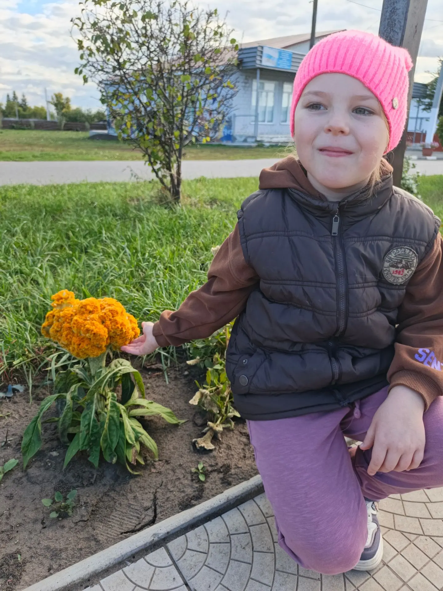 «„Это мегамозг!“ — сказала Верочка про целозию.