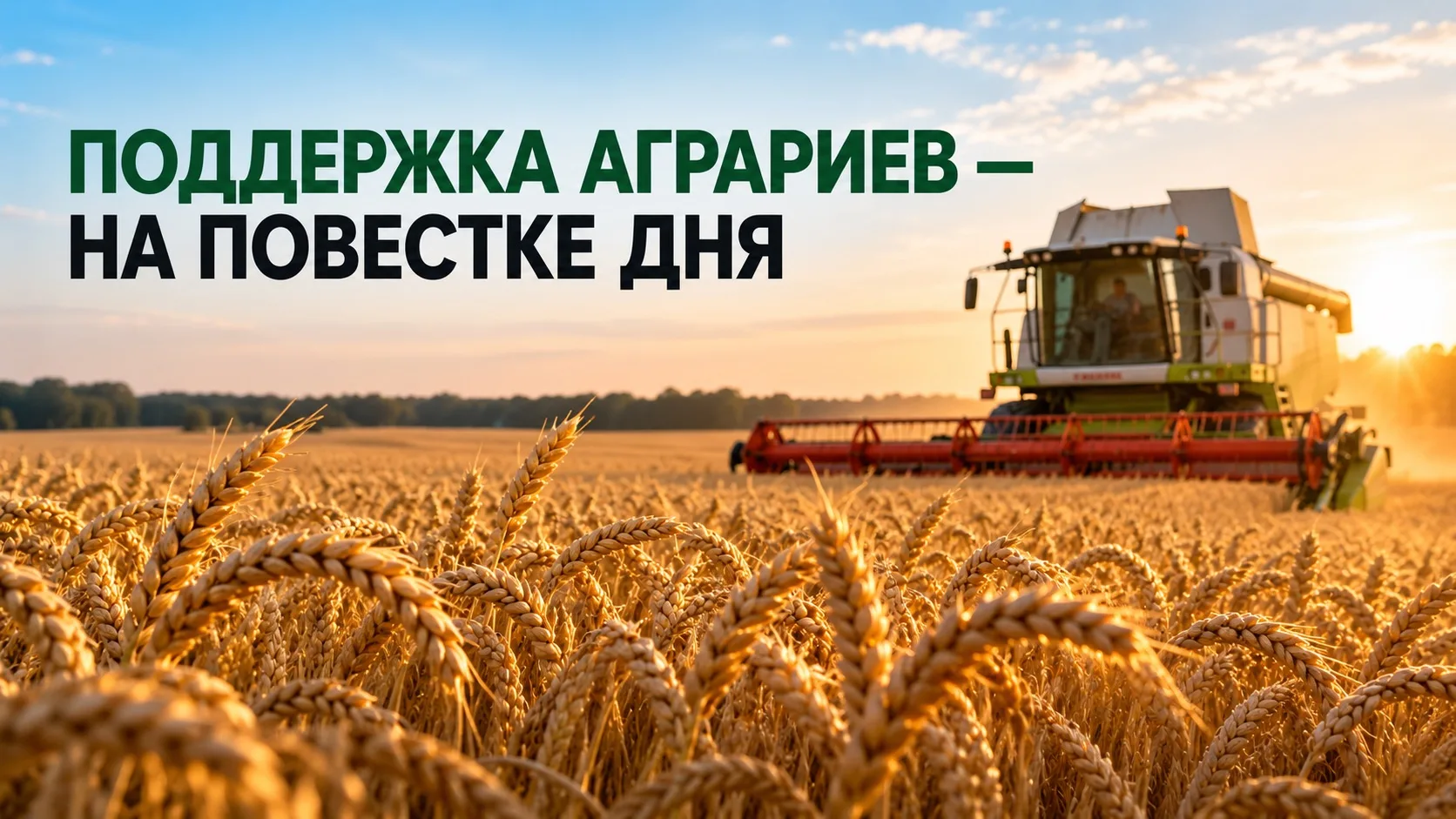 Пошлины, кредиты и мораторий на банкротство: аграриям готовят новые меры поддержки