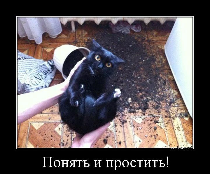 ⚠️Дорогие жильцы,