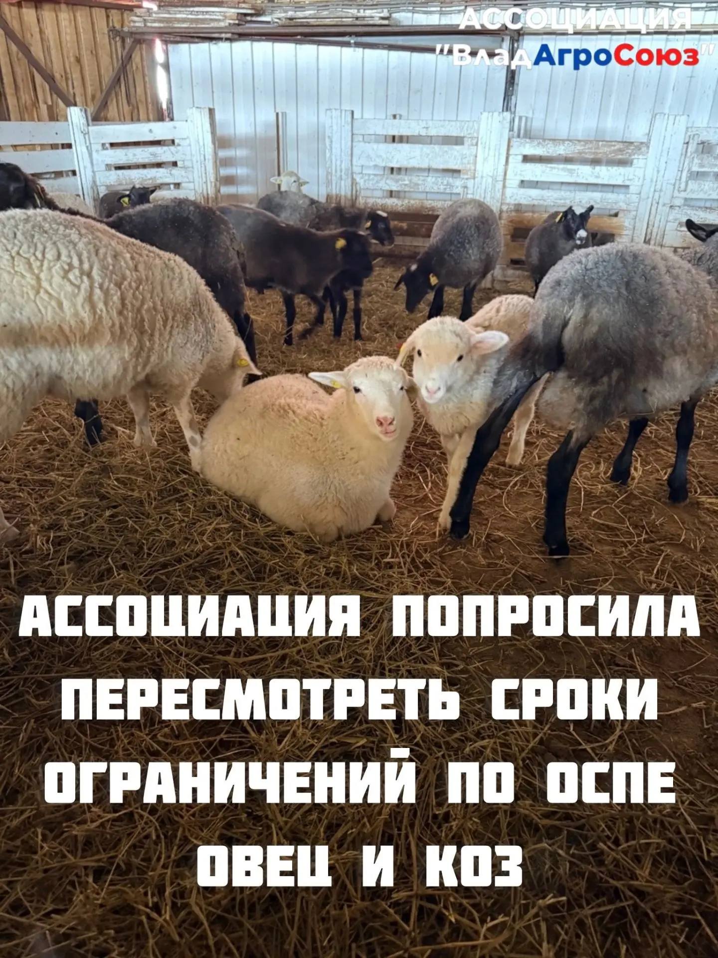 Ассоциация направила официальное обращение Министру сельского хозяйства Российской Феде...