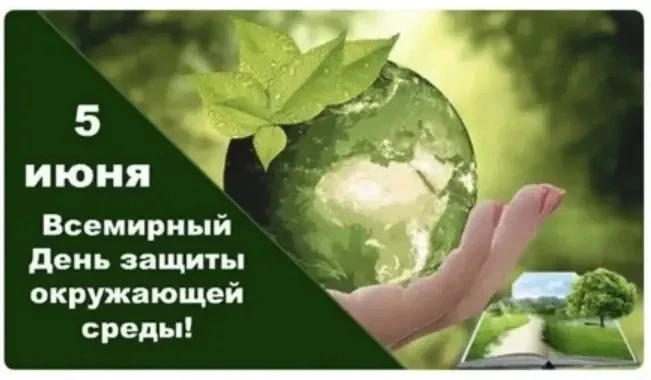 🌏Мир вокруг нас — огромный и чудесный, и знакомить с ним малышей нужно с самой первой ...