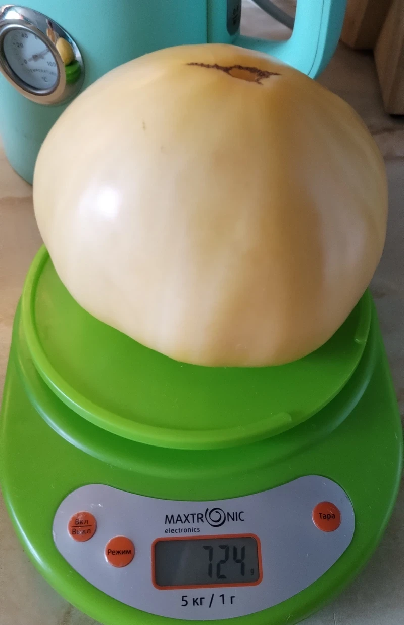 🍅 Помидор на 724 г!