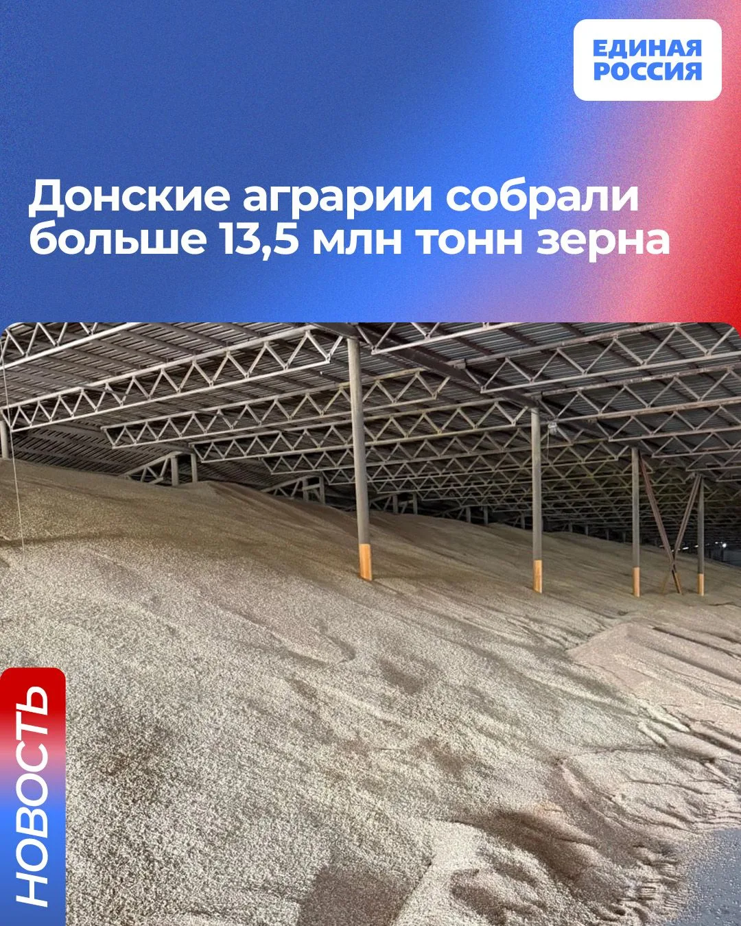 🌾 Аграрии Дона собрали рекордный урожай