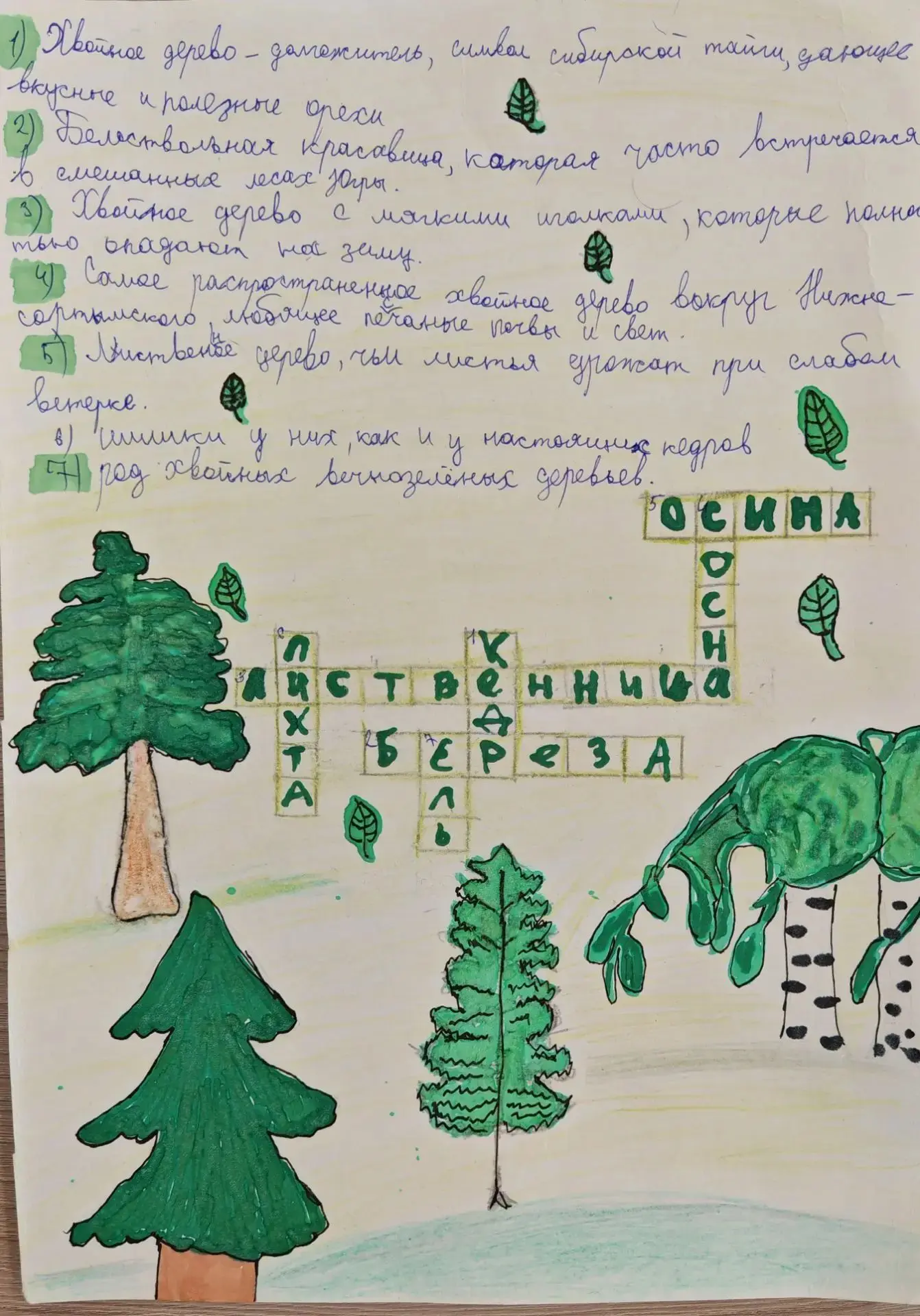 Лесу быть! Наш вклад в Юннатскую страну 🌲