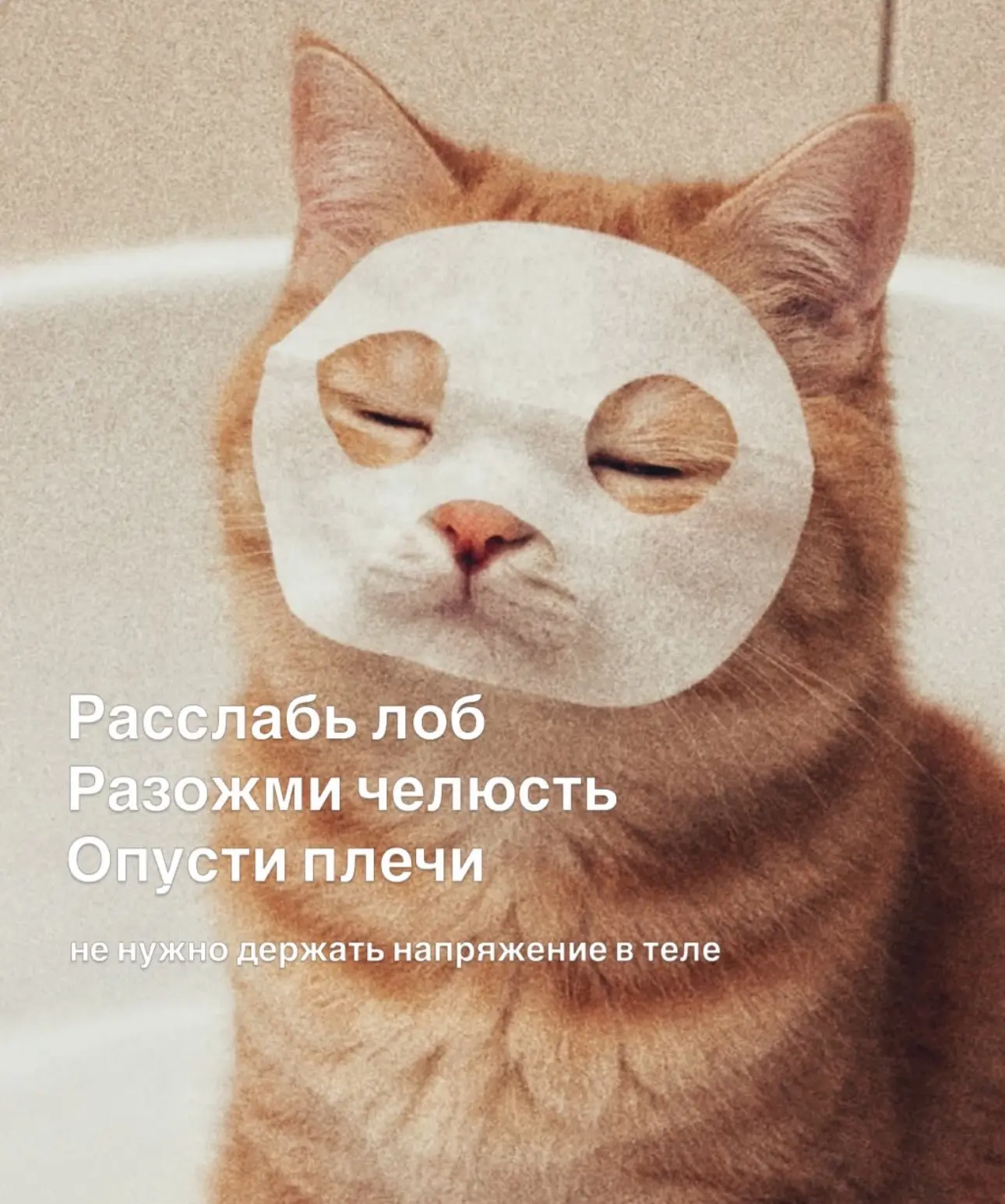 Всем девочкам прекрасного дня Венеры 🧚‍♀️🧚‍♀️🧚‍♀️