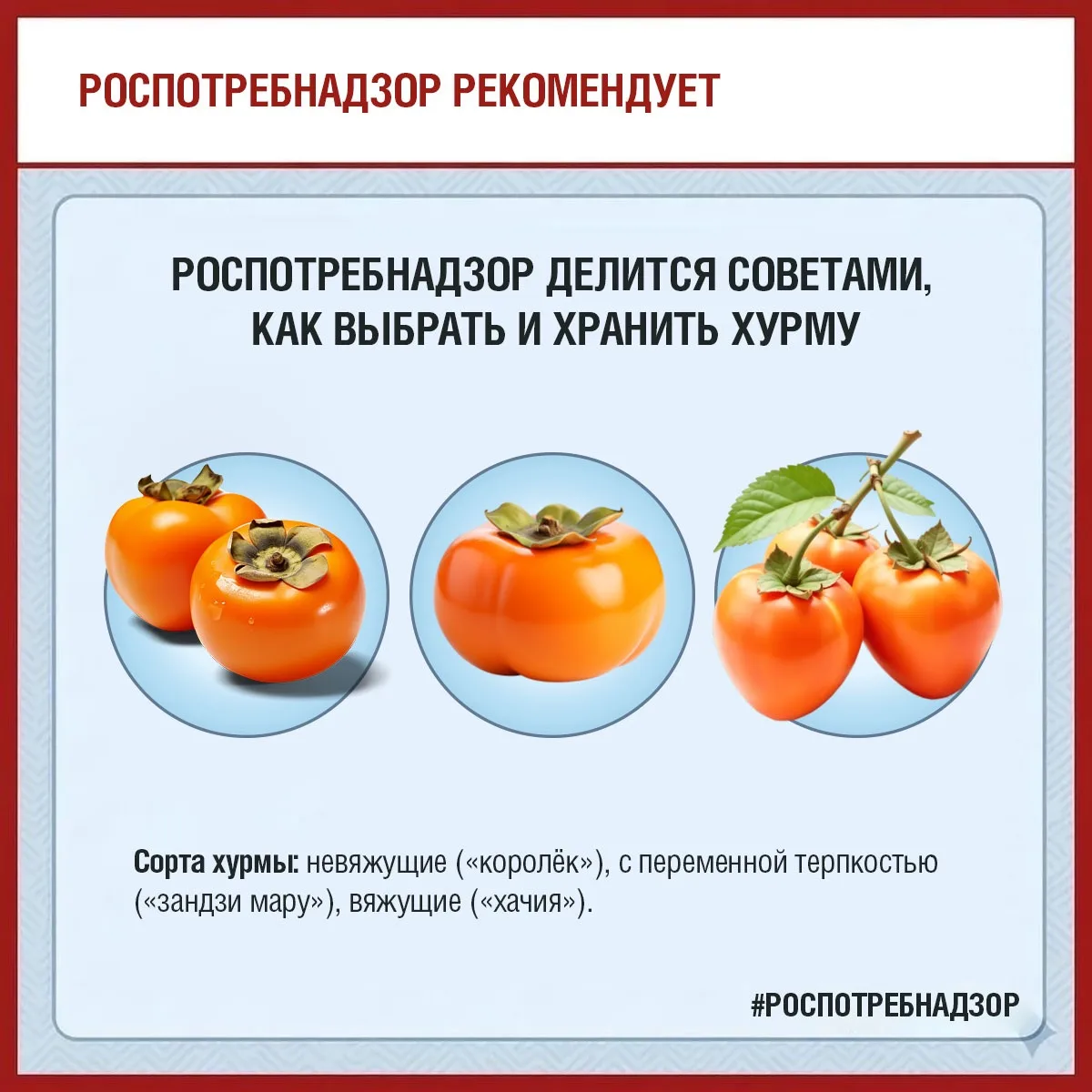 Сезон хурмы в разгаре!