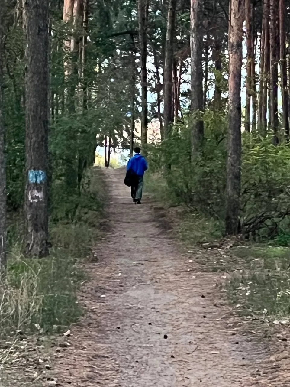 понравился мальчик найдись пожалуйста 🙏🏻🙌