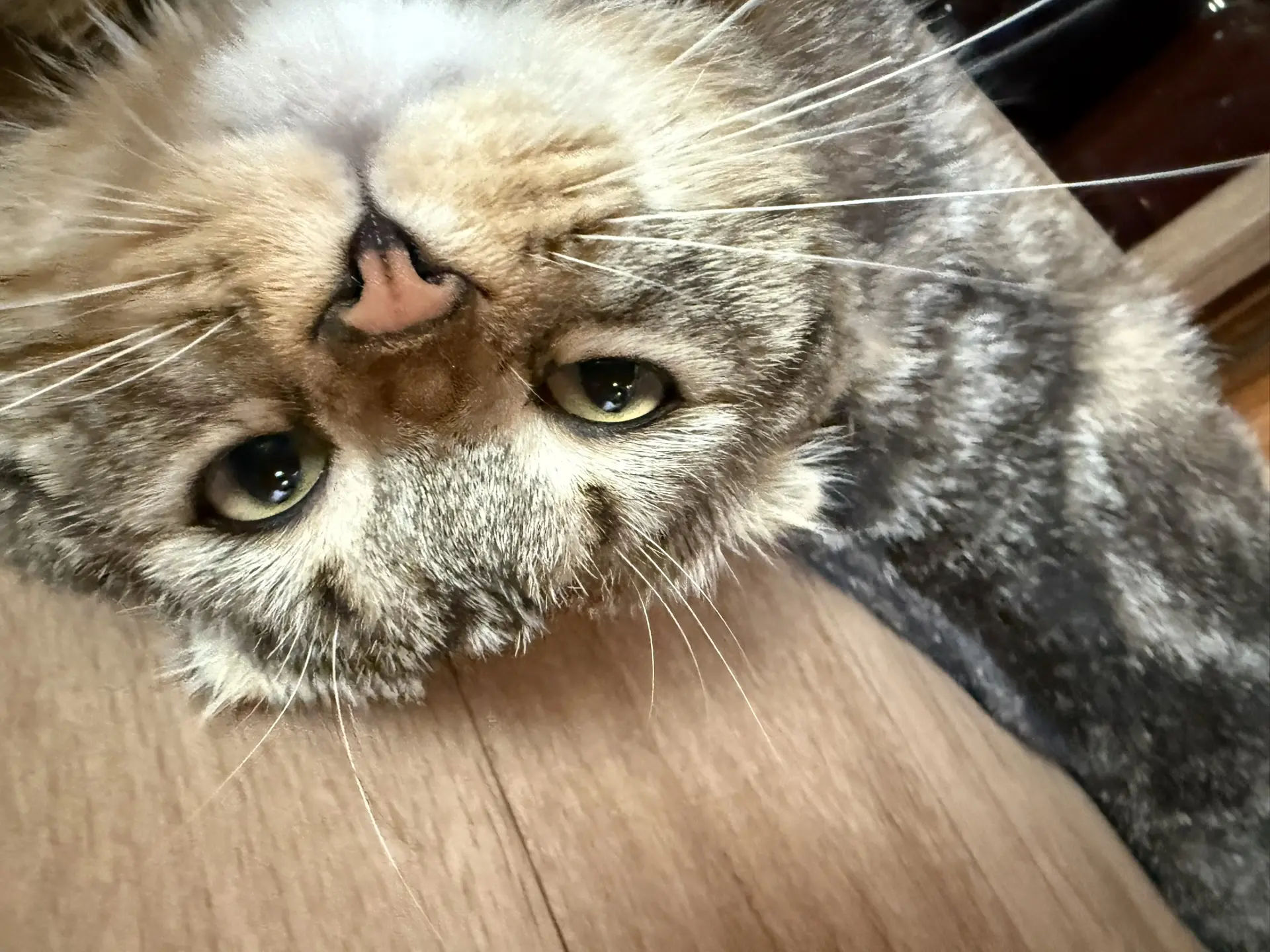 Пошел последний месяц лета 😱😱😱
Я немного в шоке

Как ваши дела?
Отдохнули немного?