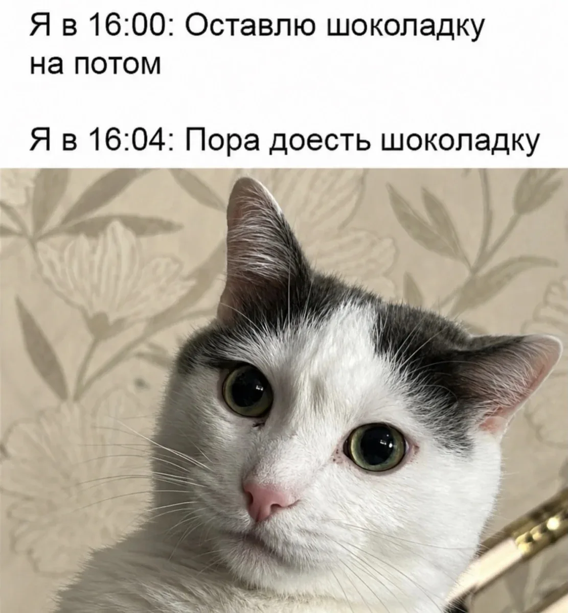 На потом

Комментарии: pikabu.ru/link/EoEwfQYcTJ