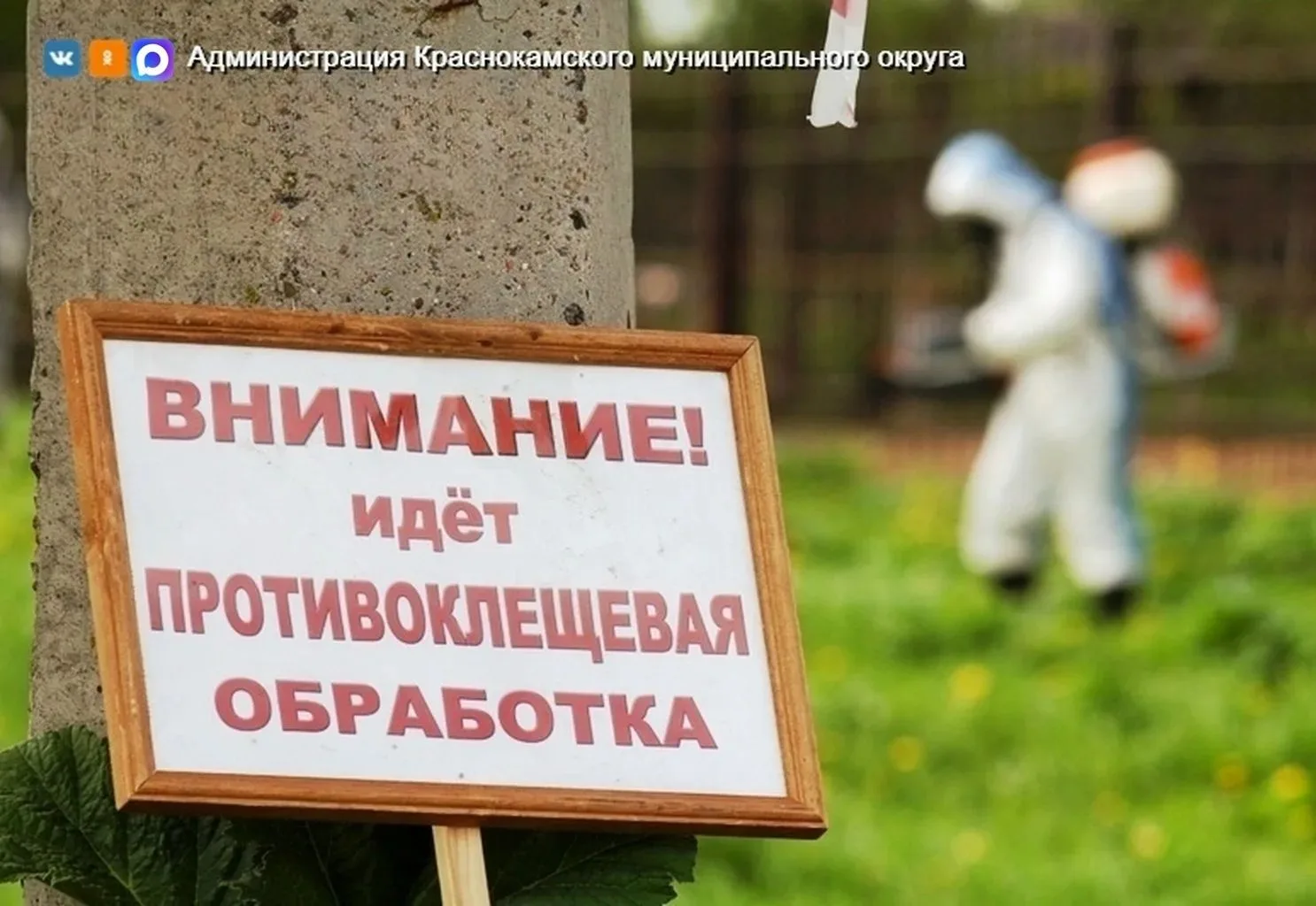 12 августа с 6:00 утра будут проводиться акарицидные обработки