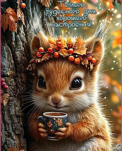 ♥️ ЛЮБИМЫЕ ОТКРЫТКИ ♥️